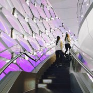 Img 2570 (edited)-purple